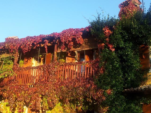 Rozina Vacation House Pliskovica Exterior photo